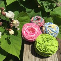 11304141_10155628436700192_71689439_n