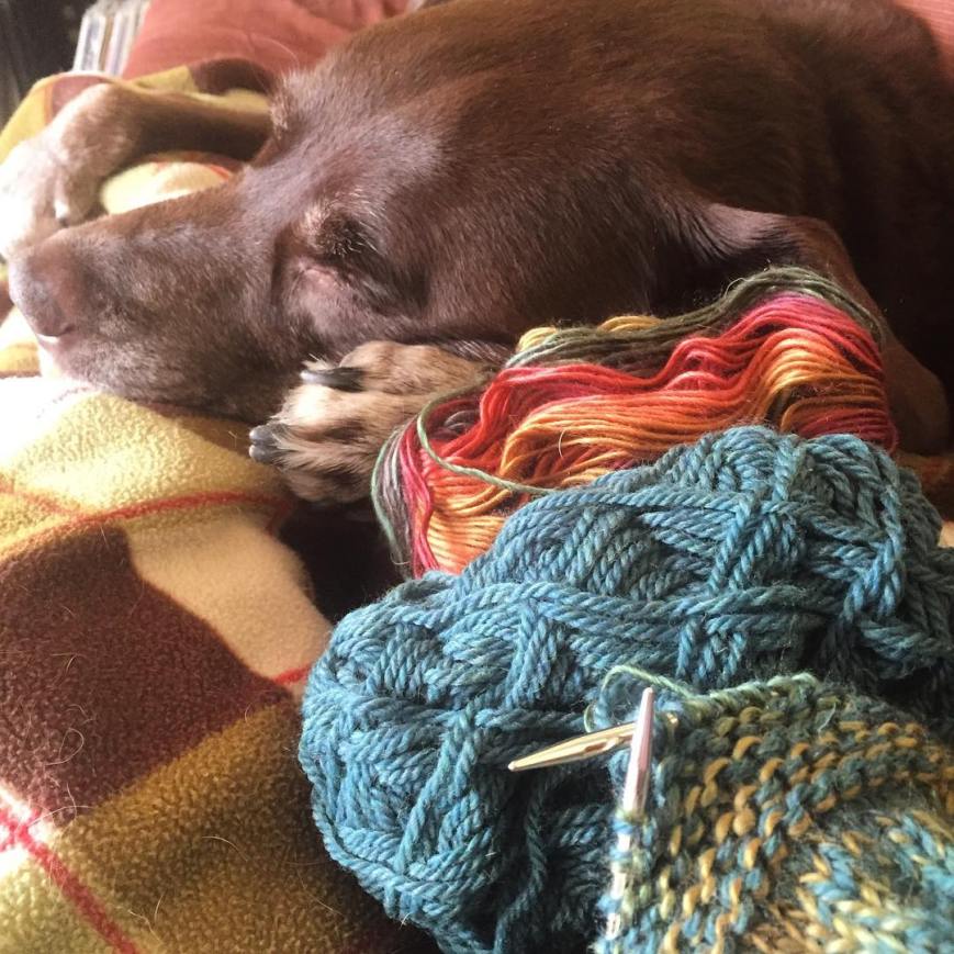 12493545_10156498730760192_501806957814940965_o